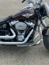 FLFBS 2019 Fat Boy® 114 thumb 2