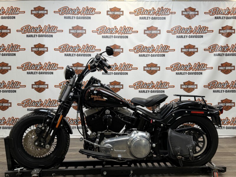 2009 Harley-Davidson® FLSTSB Softail® Cross Bones™