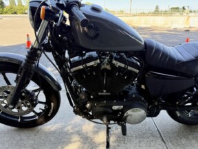 XL 883N 2022 Iron 883™ thumb 0