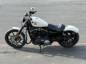 XL 883N 2022 Iron 883™ thumb 0
