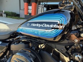 XL 1200NS 2019 Iron 1200™ thumb 1