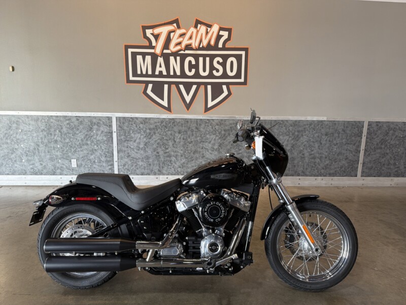 2020 Harley-Davidson® Softail Standard® FXST