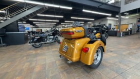 2023 Harley-Davidson® Tri Glide® Ultra Prospect Gold/Vivid Black thumb 0