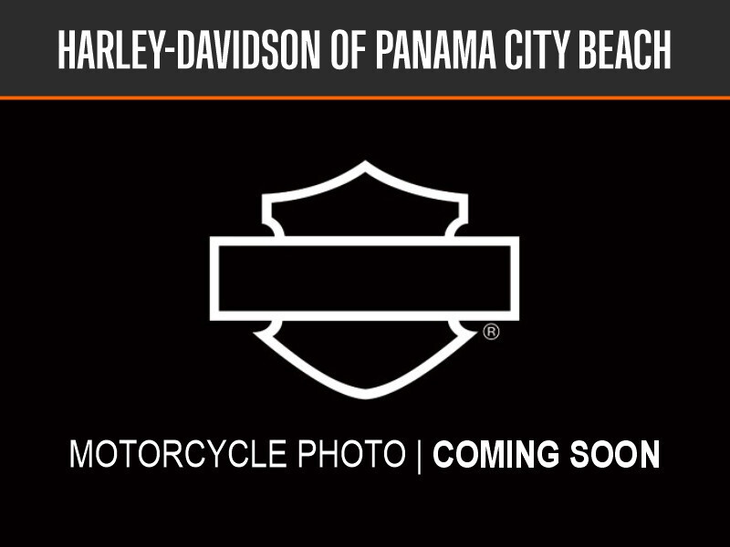 2009 Harley-Davidson® Heritage Softail® Classic