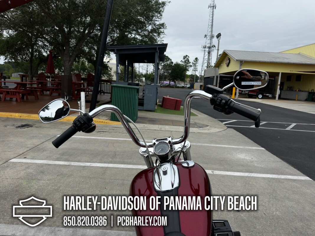 2017 Harley-Davidson® Breakout®, photo 14