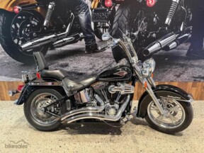 FLSTC 2009 Heritage Softail® Classic thumb 2