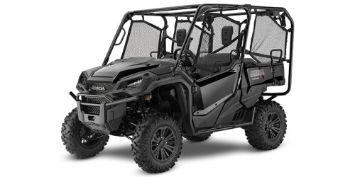 2019 Pioneer 1000-5 Deluxe thumbnail