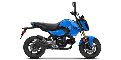 2026 Grom™ thumbnail