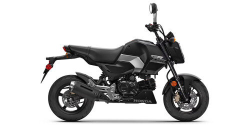 2025 Grom™ SP thumbnail