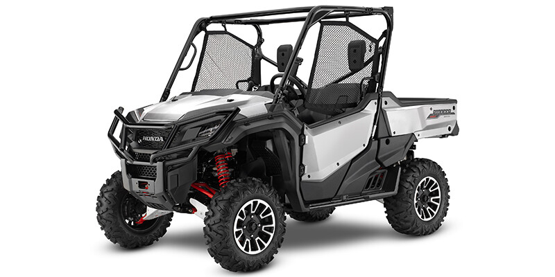 2019 Pioneer 1000 LE