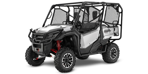 2019 Pioneer 1000-5 LE thumbnail