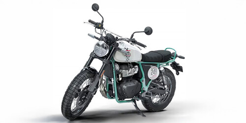 Bear 650 thumbnail