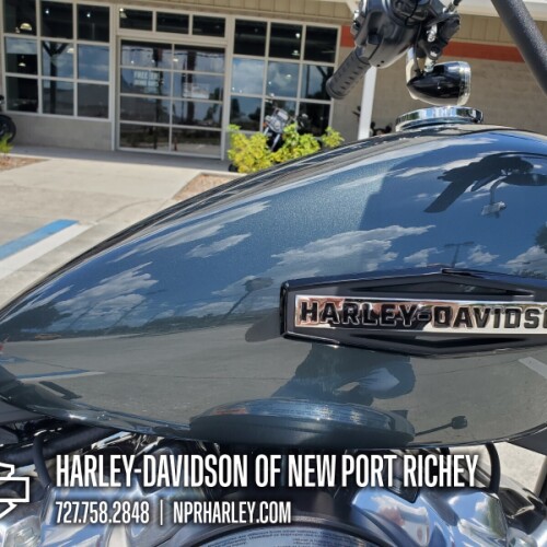 2025 Harley-Davidson® Street Bob® thumb 1