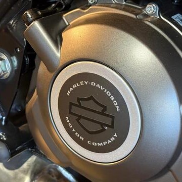  2025 HARLEY-DAVIDSON H-DX X350S LIMITED EDITION $7,995 thumb 0
