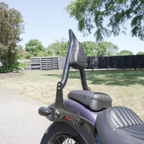 FXBB 2025 Street Bob™ thumb 1