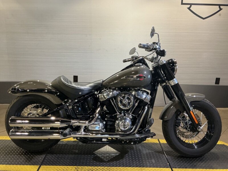 FLSL 2019 Softail Slim®