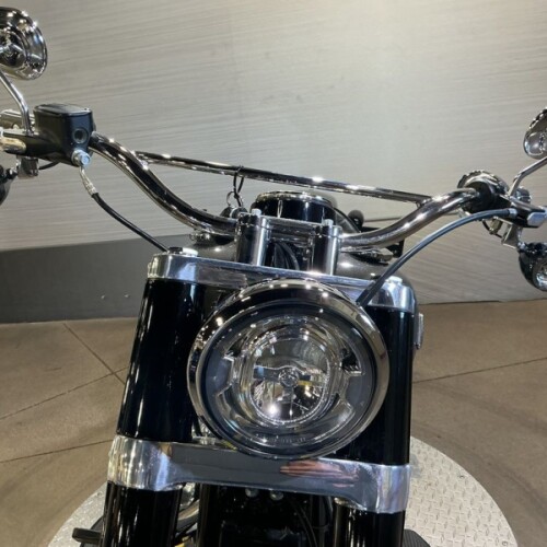 FLSL 2019 Softail Slim® thumb 1