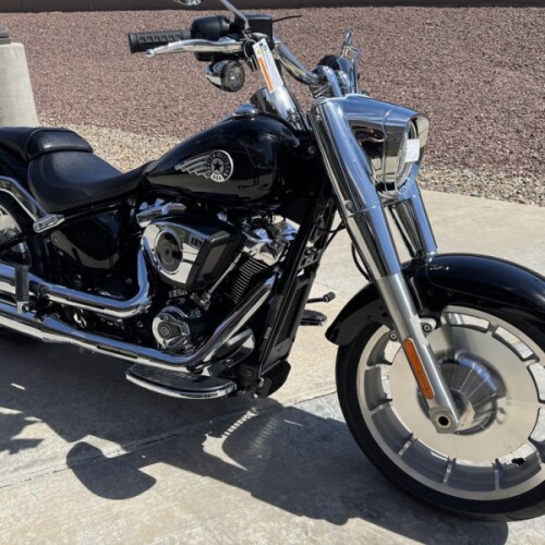 FLFB 2025 Fat Boy® thumb 3