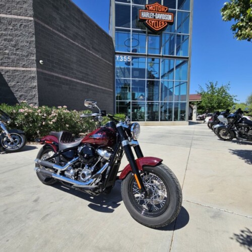 FLSL 2020 Softail Slim® thumb 3