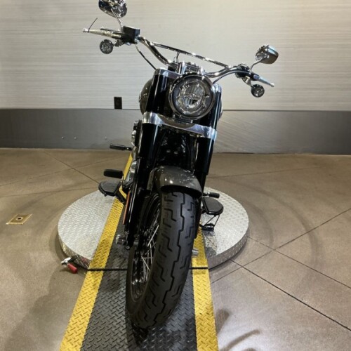 FLSL 2019 Softail Slim® thumb 2