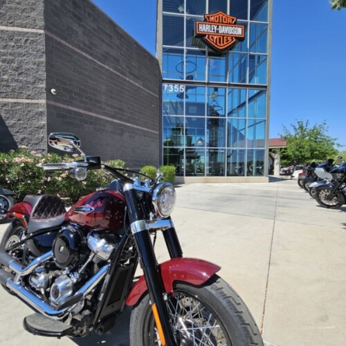 FLSL 2020 Softail Slim® thumb 1