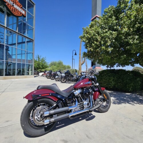 FLSL 2020 Softail Slim® thumb 2