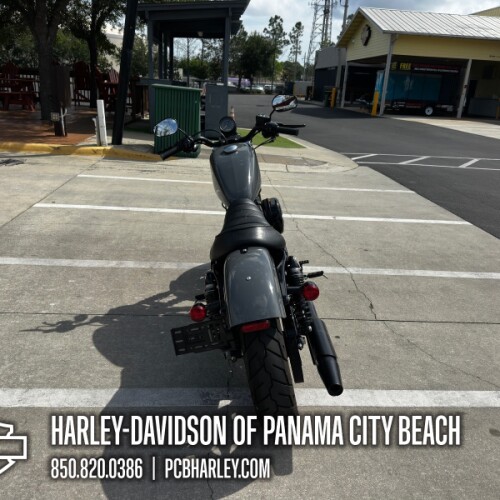2022 Harley-Davidson® Iron 883™ thumb 2