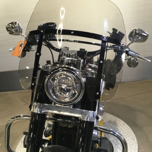 FLSL 2021 Softail Slim® thumb 1