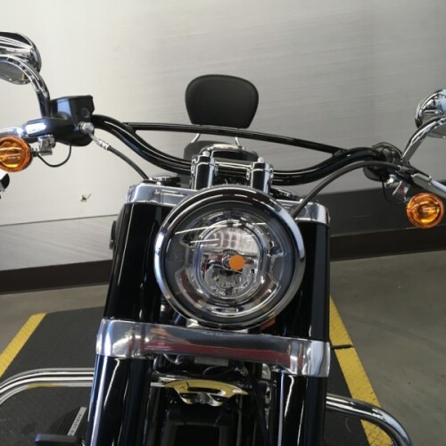 FLSL 2020 Softail Slim® thumb 1