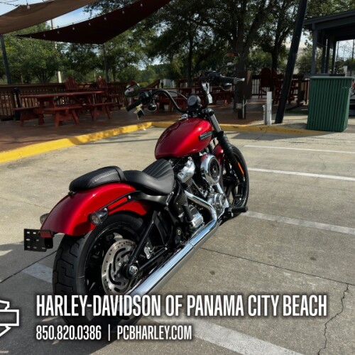 2026 Harley-Davidson® Street Bob® thumb 3