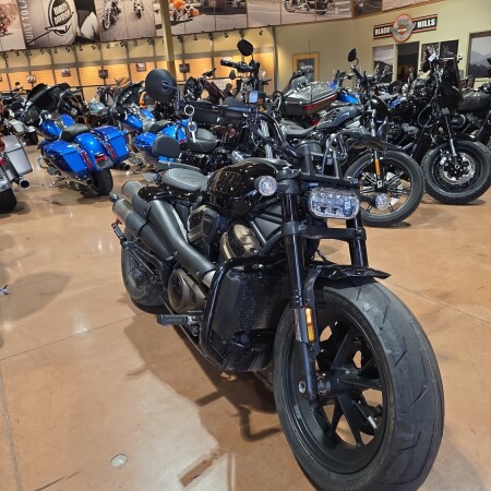 RH1250S 2022 Sportster® S thumb 2