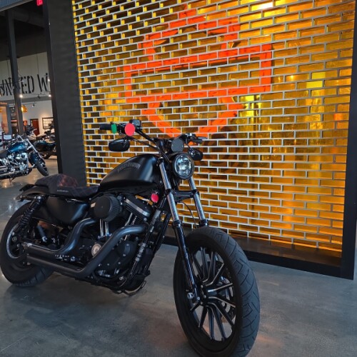 XL 883N 2014 Iron 883™ thumb 3