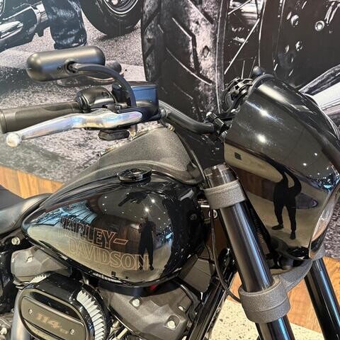 FXLRS 2019 Low Rider® S thumb 3