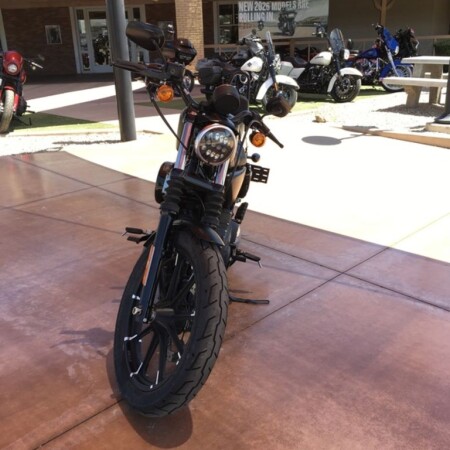 XL 883N 2022 Iron 883™ thumb 2