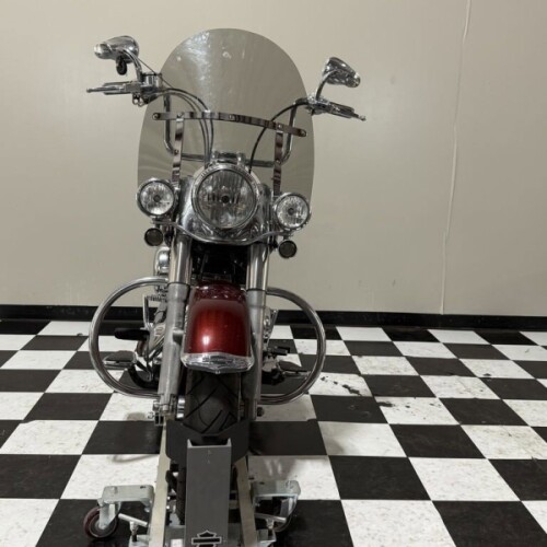 FLSTN 2008 Softail® Deluxe thumb 2