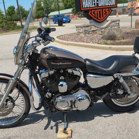 2004 Harley-Davidson® 1200 Custom Two-Tone Smokey Gold and Vivid Black thumb 0