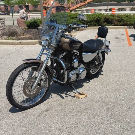 2004 Harley-Davidson® 1200 Custom Two-Tone Smokey Gold and Vivid Black thumb 1