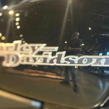  2025 HARLEY-DAVIDSON H-DX X350S LIMITED EDITION $7,995 thumb 3