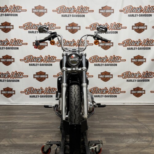 FXST 2023 Softail® Standard thumb 0