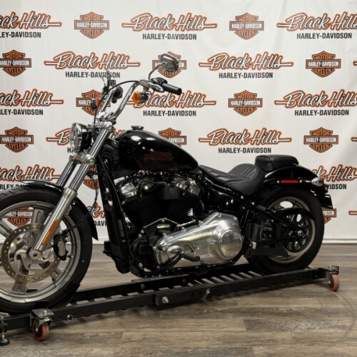 FXST 2023 Softail® Standard thumb 3