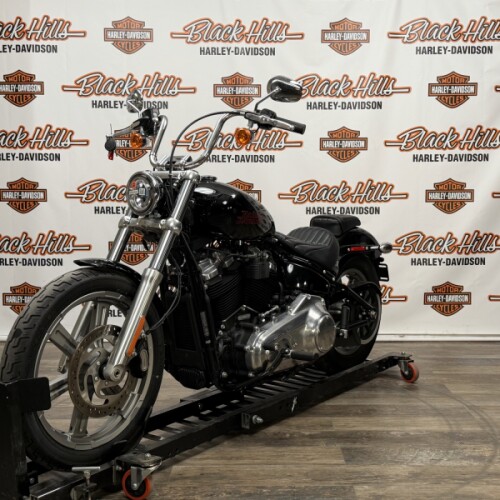 FXST 2023 Softail® Standard thumb 2