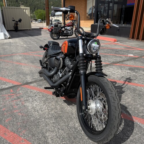 FXBBS 2021 Street Bob® 114 thumb 2