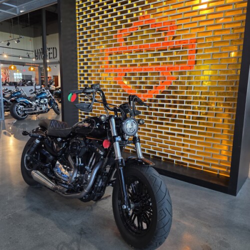 XL 1200XS 2018 Forty-Eight® Special thumb 3