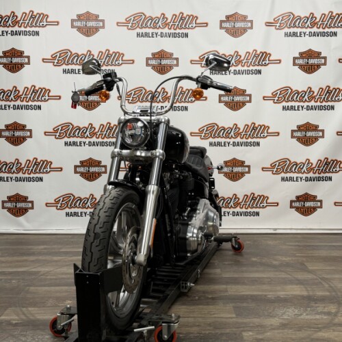 FXST 2023 Softail® Standard thumb 1