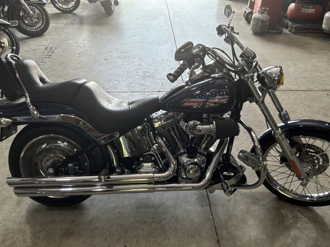 FXSTC 2008 Softail® Custom