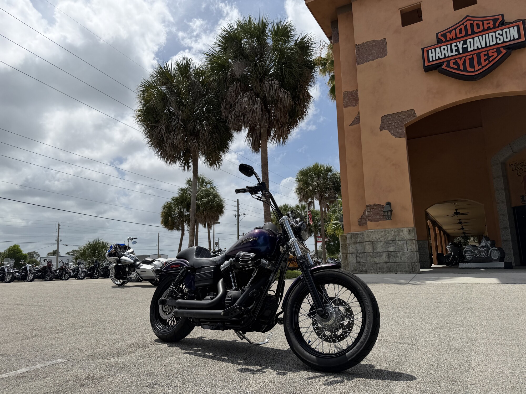 FXDBP 2010 Street Bob®