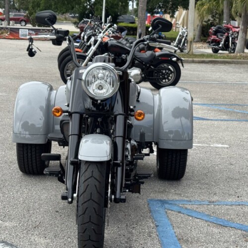 FLRT 2024 Freewheeler® thumb 2