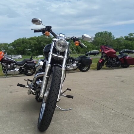 XL1200C 2007 Sportster Custom thumb 2