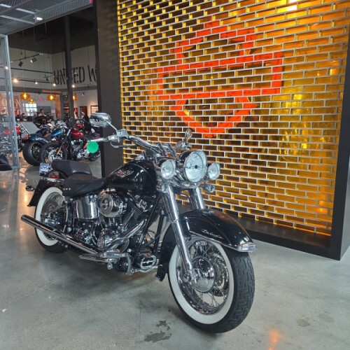 FLSTN 2007 Softail® Deluxe thumb 3