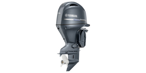 Four Stroke Midrange 1.8L F75LB thumbnail